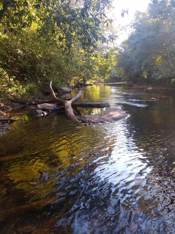 Pousada Primavera Dos Pireneus Pirenópolis Екстериор снимка